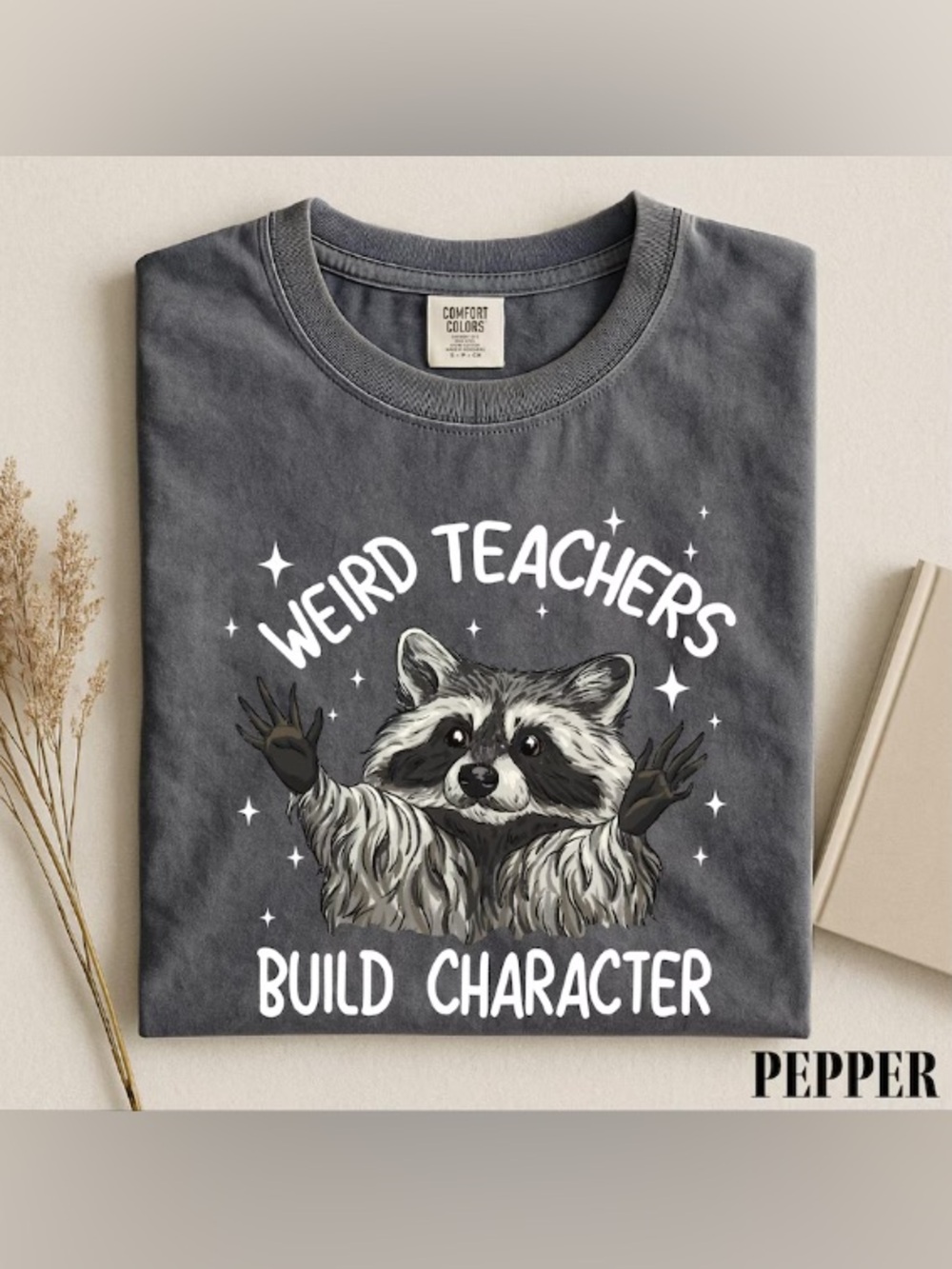 Weird Teachers Build Character T-Shirt, Funny Raccoon Teacher Graphic Tee